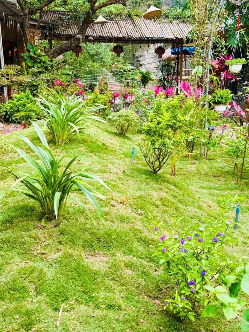 Green Valley Homestay - Thung Lung Xanh Nguyen Ngoai Exterior foto